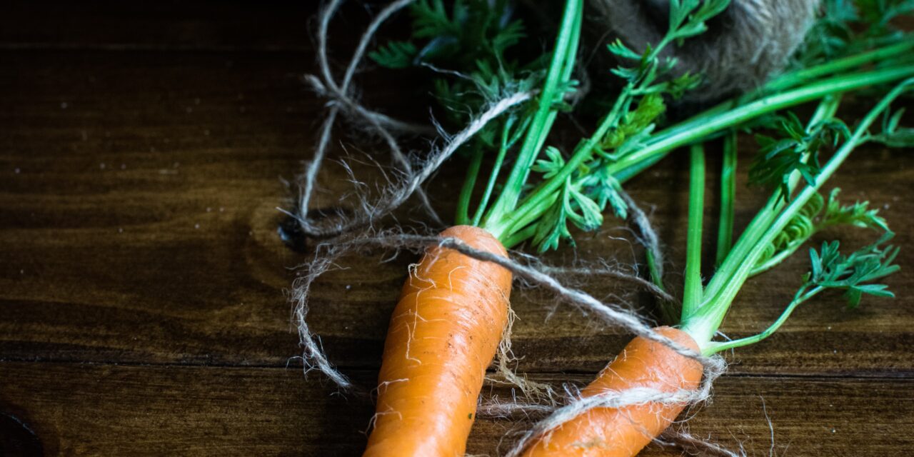 Can Kids Grow on a Raw Food Diet